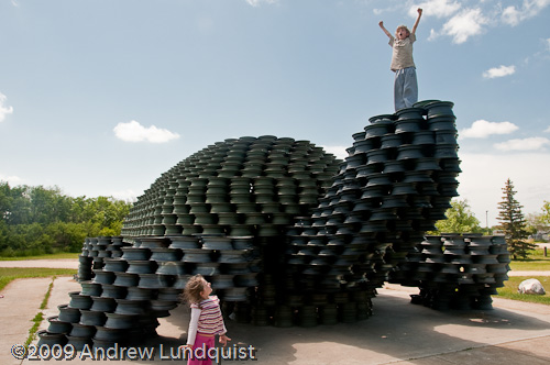 Giant Wheel Turtle